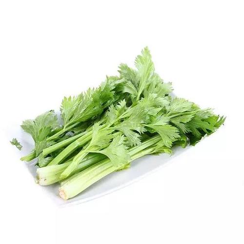 西芹/500g(蔬菜·绿叶类)