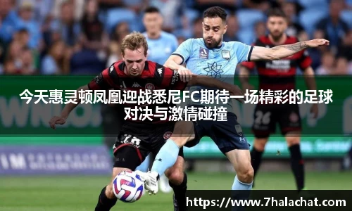 球速体育官网
